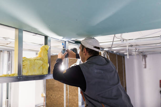 Best Cellulose Insulation in Sutton Alpine, AK