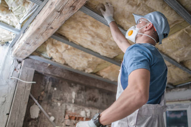 Best Energy Efficiency Insulation in Sutton Alpine, AK