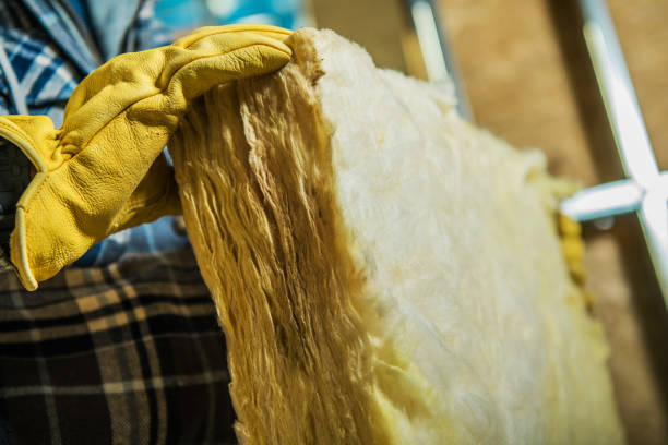 Best Insulation Maintenance and Repair in Sutton Alpine, AK