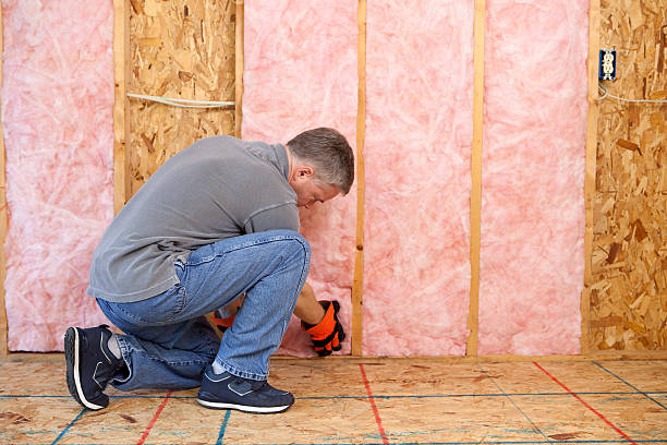 Best Commercial Insulation in Sutton Alpine, AK