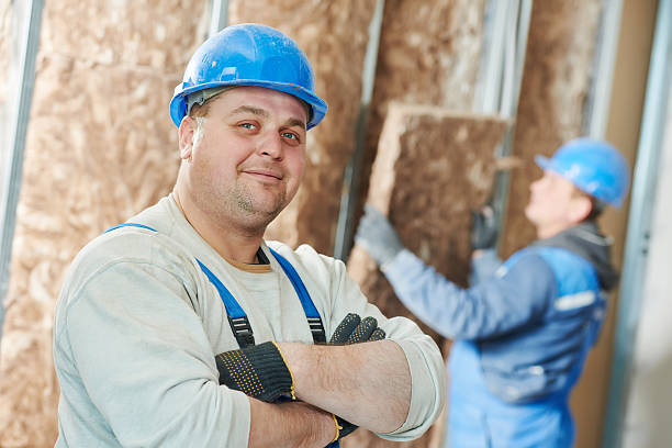 Best Specialized Insulation Services in Sutton Alpine, AK