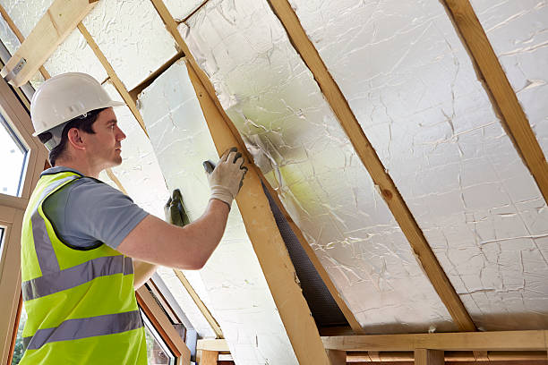 Best Insulation for Specific Applications in Sutton Alpine, AK