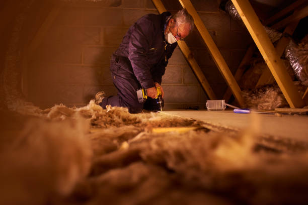 Types of Insulation We Offer in Sutton Alpine, AK