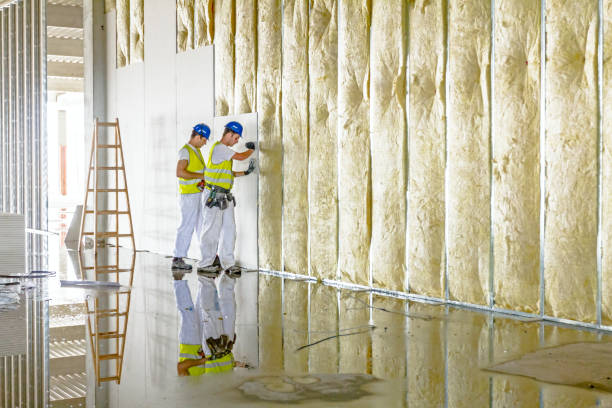 Best Spray Foam Insulation in Sutton Alpine, AK
